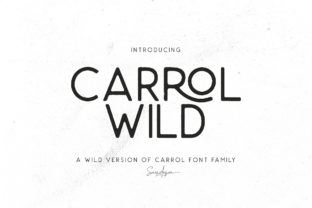 Carrol Wild: A Display Font for Modern Branding
