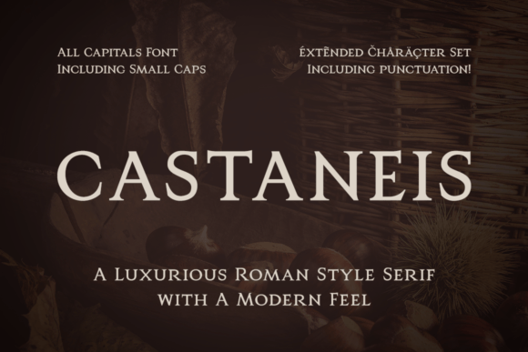 Castaneis: A Roman-Inspired Serif for Modern Design
